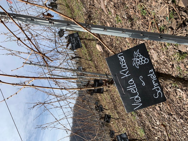 Slider Item 2 (copy) (copy)