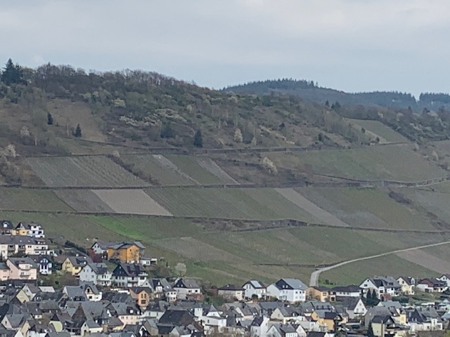 Herrenberg