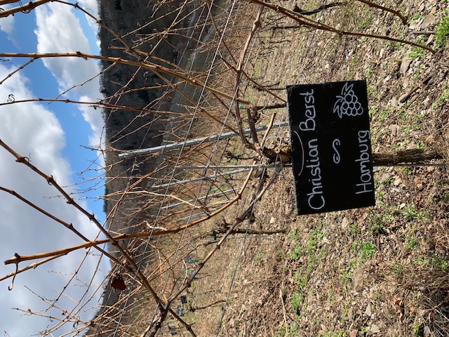 Slider Item 2 (copy)