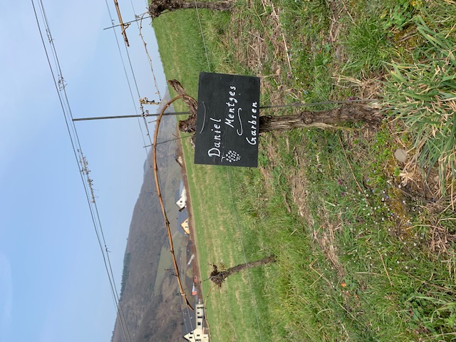 Slider Item 2 (copy) (copy) (copy) (copy)