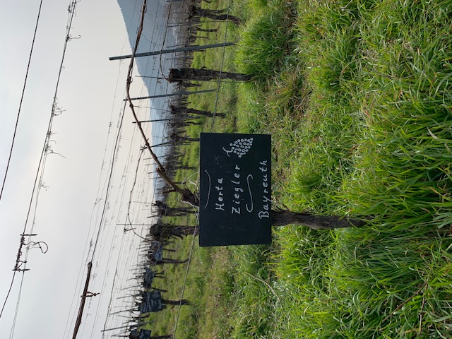 Slider Item 2 (copy) (copy) (copy) (copy) (copy)