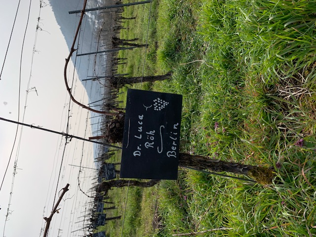 Slider Item 2 (copy) (copy) (copy) (copy) (copy) (copy)